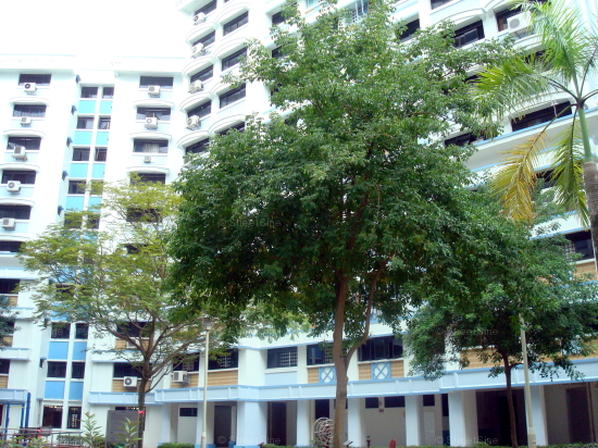Blk 503 Woodlands Drive 14 (Woodlands), HDB 4 Rooms #358612